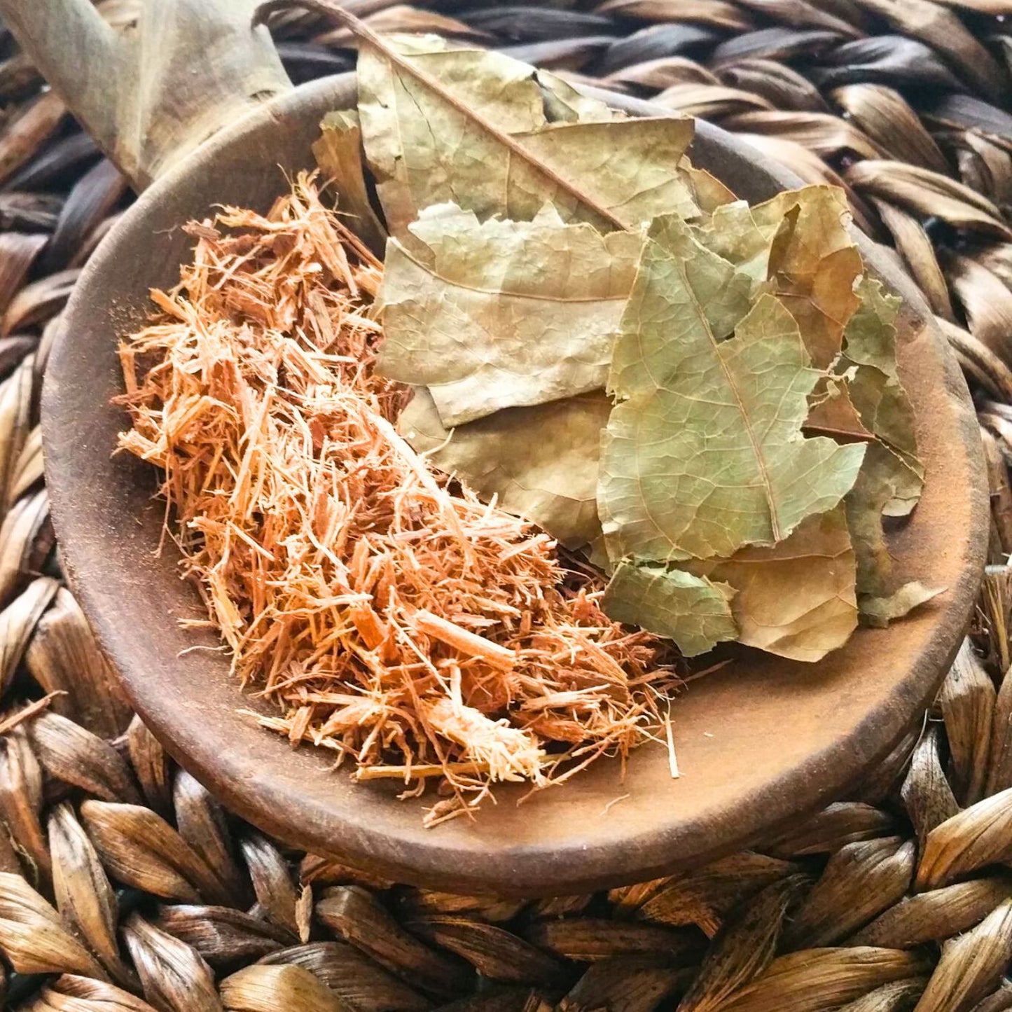 (Nature Vines & Leaves Incense) Banisteriopsis Caapi (Yage) - Pack sizes of 5, 10, 10, 30, 50 and 100 grams (Ready Stock)