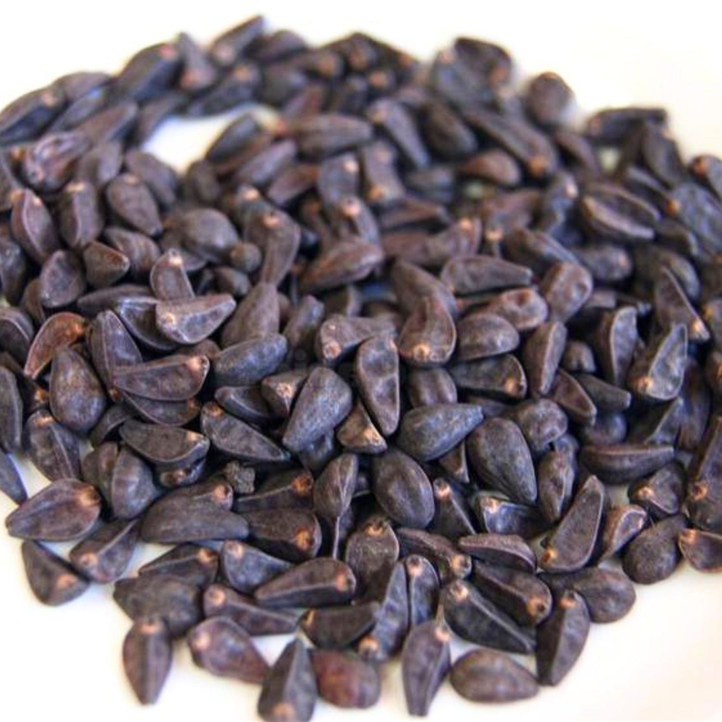(Nature Seeds Incense) Morning Glory (Untreated Seed) - Pack sizes of 5, 10, 30, 50 and 100 grams (Ready Stock)