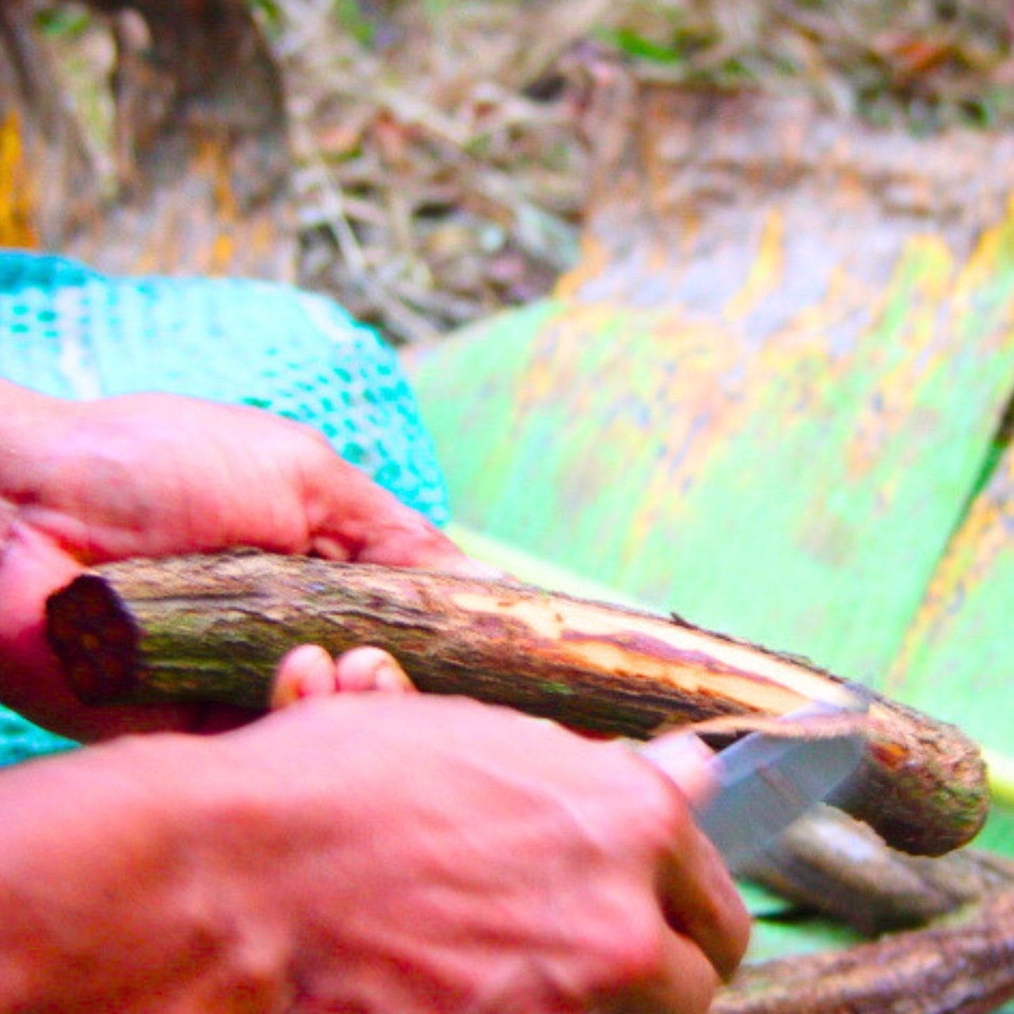 (Nature Vines & Leaves Incense) Banisteriopsis Caapi (Yage) - Pack sizes of 5, 10, 10, 30, 50 and 100 grams (Ready Stock)