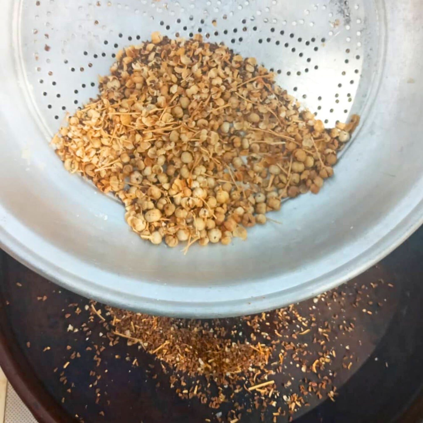 (Nature Seeds Incense) Syrian Rue (Untreated Seeds) - Pack size of 5, 10, 30, 50 and 100 grams (Ready Stock)