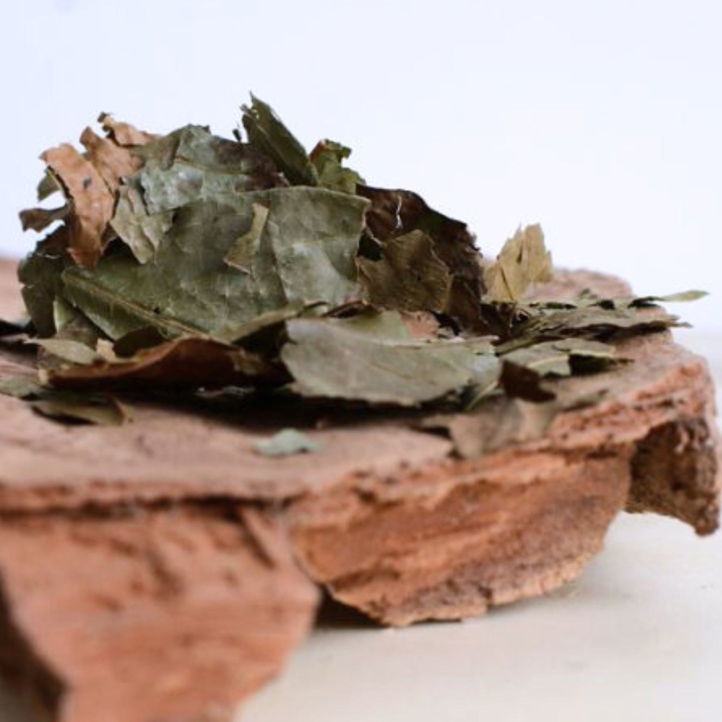 (Nature Leaves Incense) Chacruna (Psychotria Vairidis) - Pack sizes of 5, 10, 10, 30, 50 and 100 grams (Ready Stock)