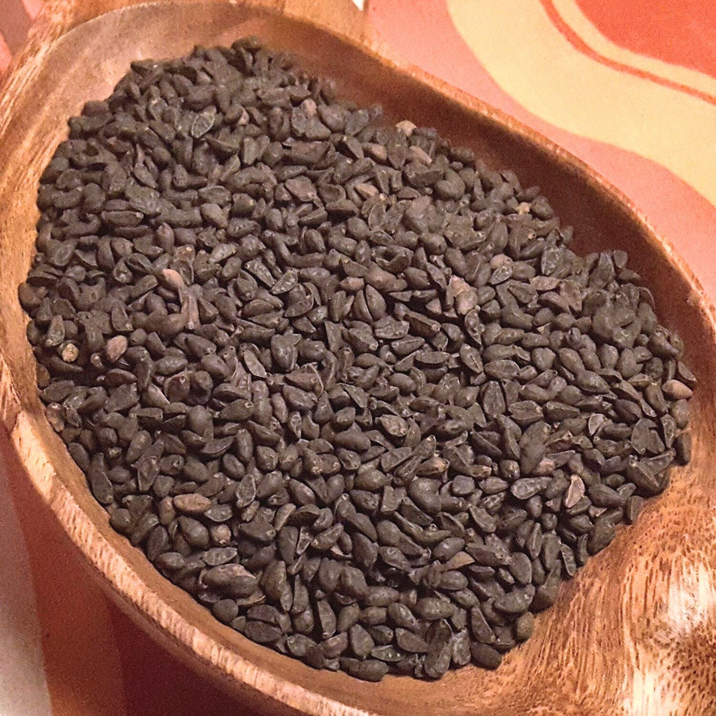 (Nature Seeds Incense) Morning Glory (Untreated Seed) - Pack sizes of 5, 10, 30, 50 and 100 grams (Ready Stock)