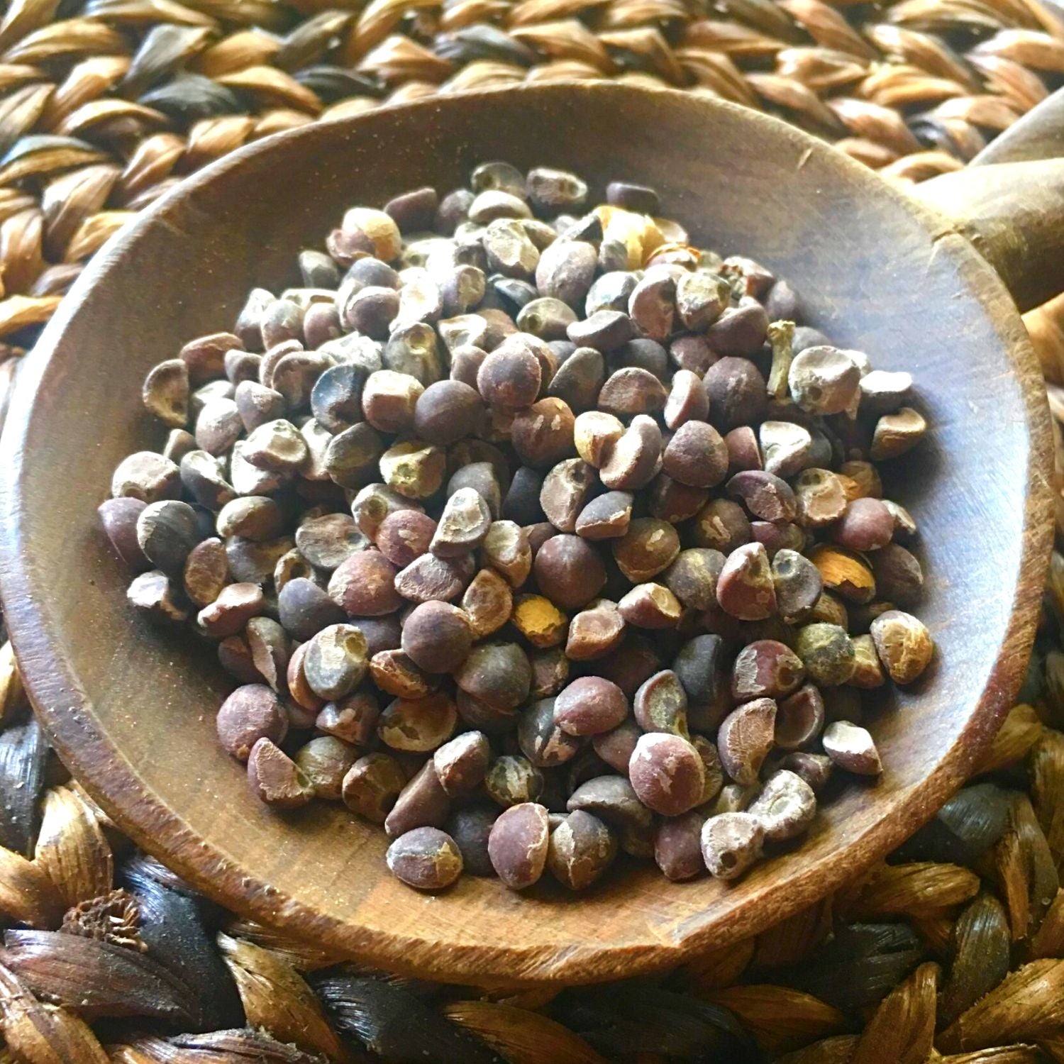 Buy Hawaiian Baby Woodrose (HBWR) from Malaysia, Thailand, Indonesia