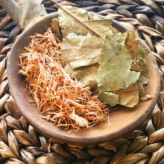 (Nature Vines & Leaves Incense) Banisteriopsis Caapi (Yage) - Pack sizes of 3, 5, 10, 10, 30, 50 and 100 grams (Ready Stock)