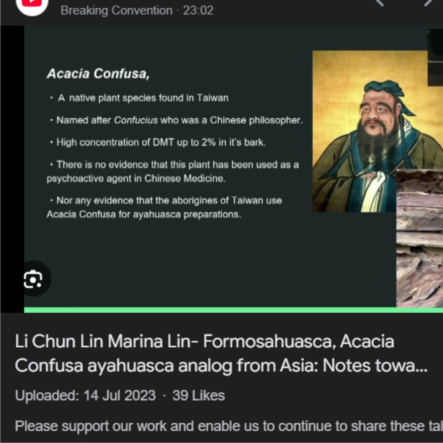 (Nature Root Bark Incense) Wild Acacia Confusa (Taiwan Acacia) - Pack sizes of 5, 10, 10, 30, 50 and 100 grams (Ready Stock)