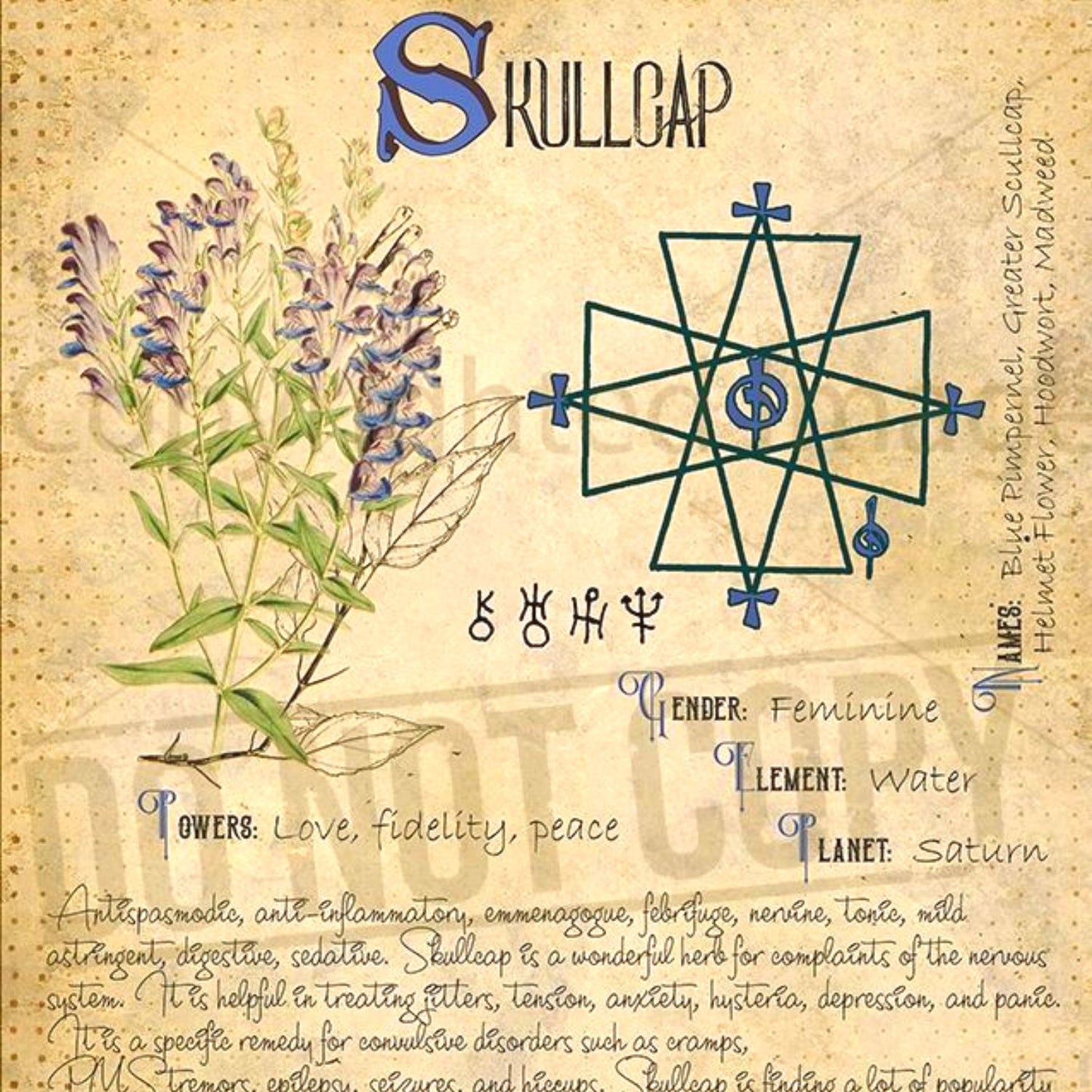 (Nature Leaves Incense) Organic Skullcap (Scutellaria Lateriflora) - Pack sizes of 3, 5, 10, 30, 50 and 100 grams (Ready Stock)