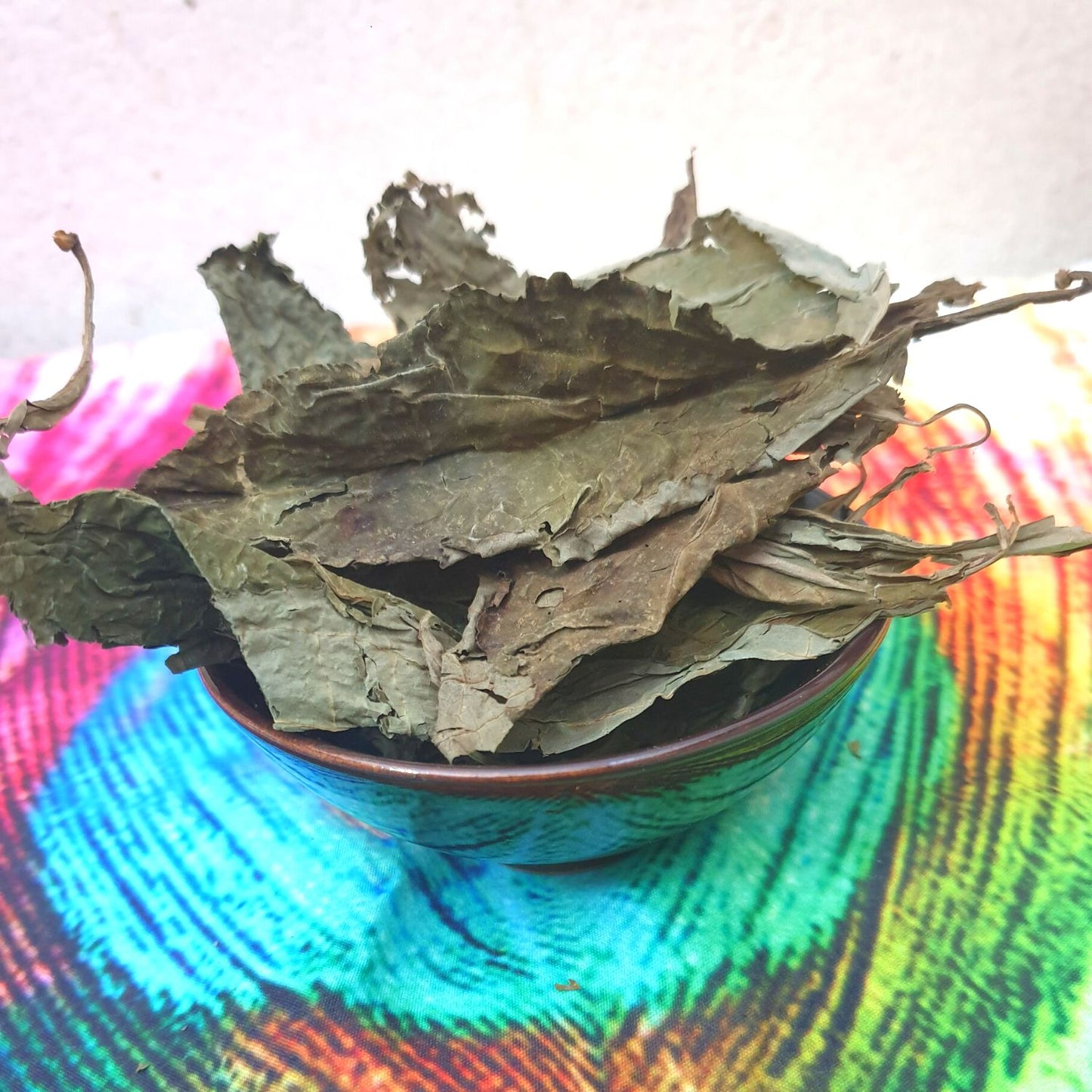 (Nature Leaves Incense) Wild Authentic Mexican Salvia Divinorum - Pack sizes of 3, 5, 10, 30, and 50 grams (Ready Stock)